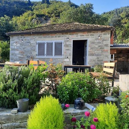 Bujtina Lugina E Vjoses Βίλα Πρεμετή Εξωτερικό φωτογραφία