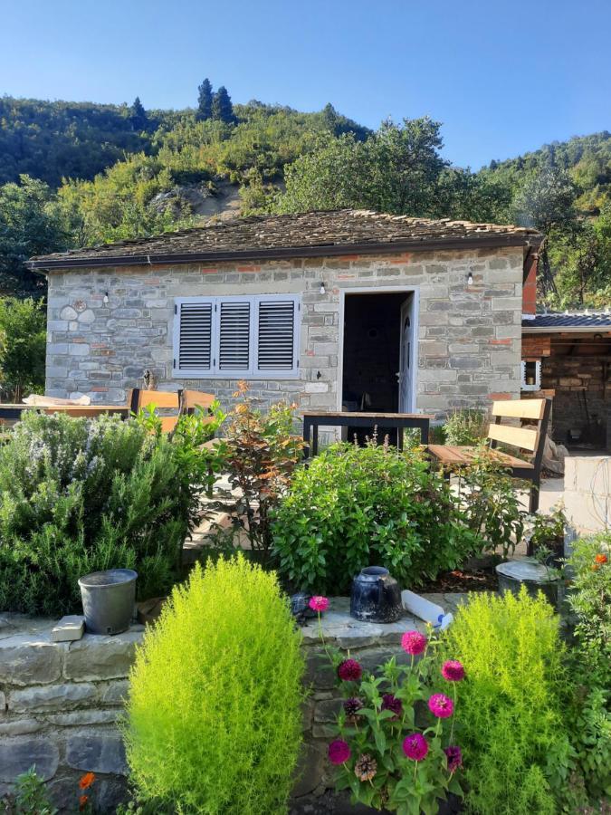 Bujtina Lugina E Vjoses Βίλα Πρεμετή Εξωτερικό φωτογραφία