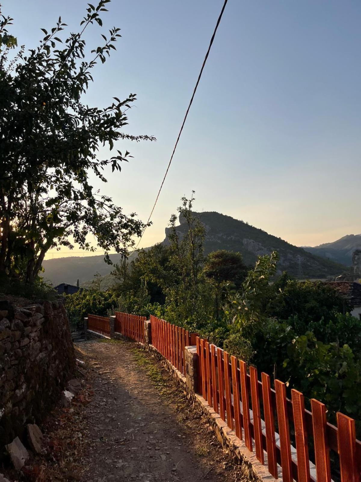 Bujtina Lugina E Vjoses Βίλα Πρεμετή Εξωτερικό φωτογραφία